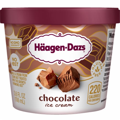 Haagen Dazs® Chocolate Gluten Free Ice Cream Cup Perspective: front