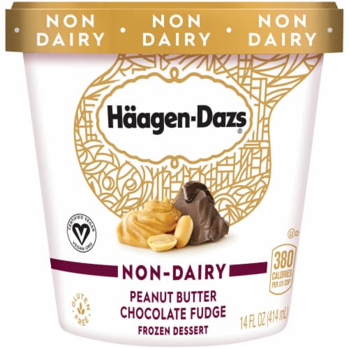 Haagen-Dazs Dairy Free Peanut Butter Chocolate Fudge Frozen Dessert Perspective: front