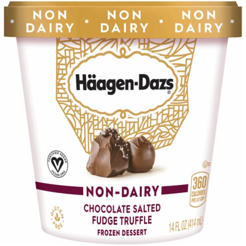 Haagen-Dazs Dairy Free Gluten Free Chocolate Salted Fudge Truffle Frozen Dessert Perspective: front