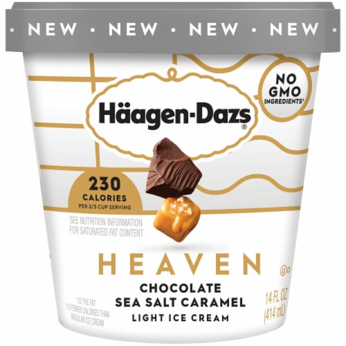 Haagen-Dazs Heaven Chocolate Sea Salt Caramel Light Ice Cream Perspective: front