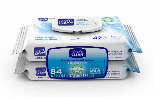 Nice 'N Clean Flushable Moist Wipes Double Pack Perspective: front