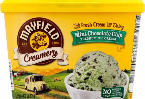 Mayfield Creamery® Mint Chocolate Chip Ice Cream Tub Perspective: front