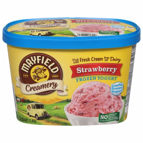 Mayfield Creamery Lowfat Strawberry Frozen Yogurt Perspective: front