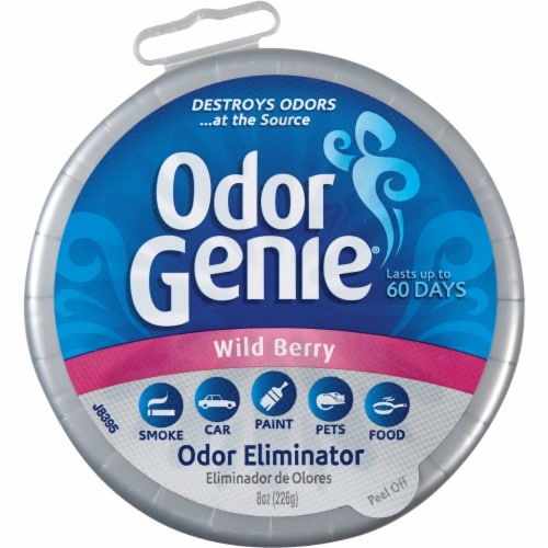 Odor Genie Lavender Vanilla Room Deodorizors Perspective: front