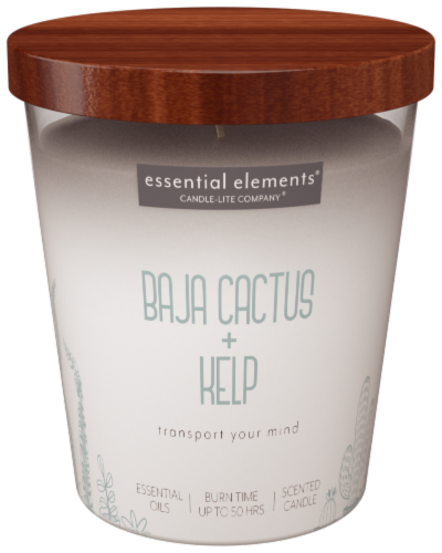 Essential Elements® Baja Cactus + Kelp Jar Candle Perspective: front