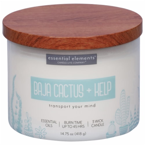 Essential Elements® Baja Cactus + Kelp Jar Candle Perspective: front