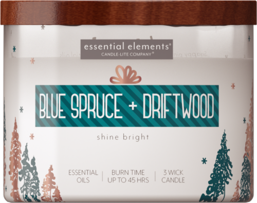 Essential Elements® Blue Spruce + Driftwood 3 Wick Candle Perspective: front