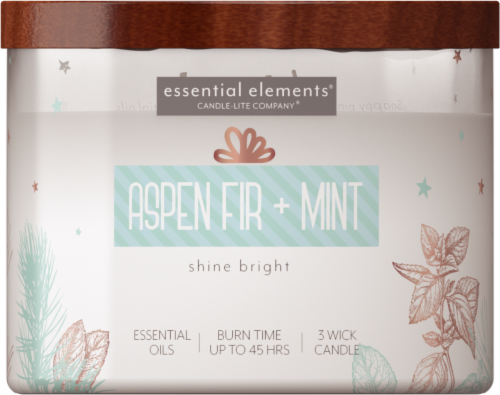 Essential Elements® Aspen Fir + Mint 3 Wick Candle Perspective: front
