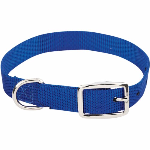 Ruffin it sales dog leash