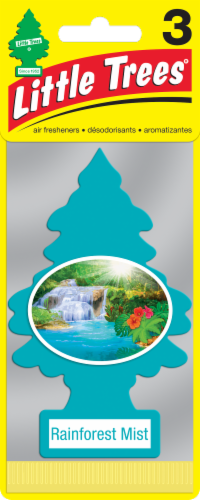 Little Trees® Rainforest Mist Car Air Fresheners Perspective: front