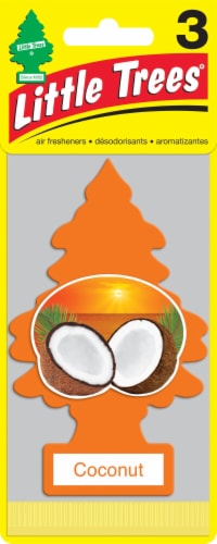 Little Trees® Coconut Car Air Fresheners Perspective: front