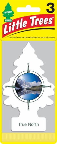 Little Trees® True North Car Air Fresheners Perspective: front