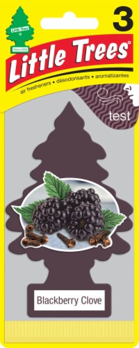 Little Trees® Blackberry Clove Car Air Freshener Perspective: front