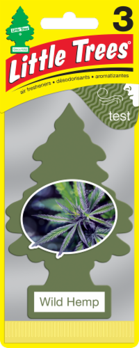 Little Trees Wild Hemp Air Fresheners Perspective: front