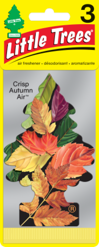 Little Trees Crisp Autumn Air™ Air Fresheners Perspective: front