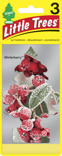 Little Trees Winterberry™ Air Freshener Perspective: front