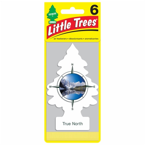 Little Trees® True North Car Air Fresheners Perspective: front