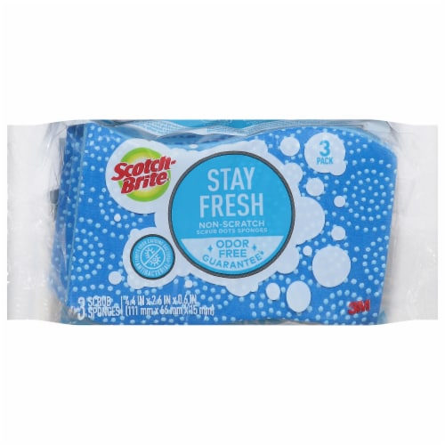 Scotch-Brite® Scrub Dots Non-Scratch Scrub Sponges Perspective: front