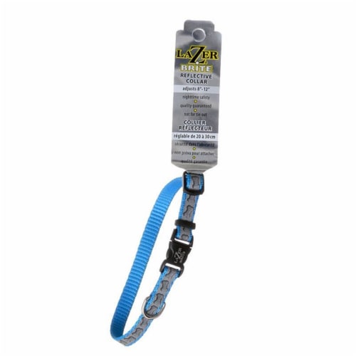 Alliance Lazer Brite Extra Small Reflective Blue Dog Collar Perspective: front