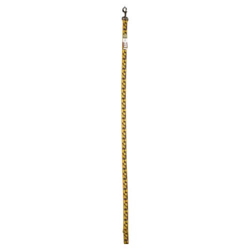 Alliance Dog Leash - Yellow / Black Perspective: front