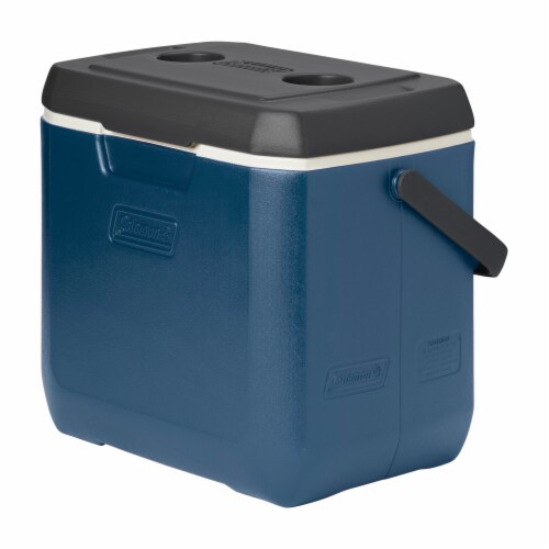 Coleman Blue Insulated Drink Carrier at