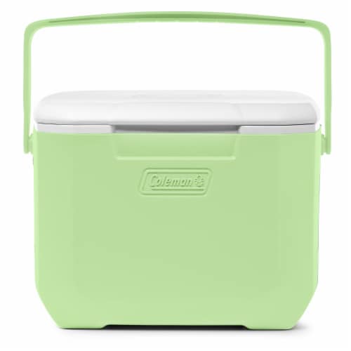 Coleman® Chiller Cooler - Ocean Perspective: front