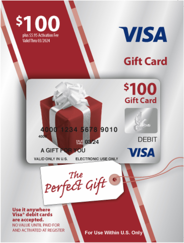 Visa $100 Gift Card (plus $5.95 Purchase Fee)