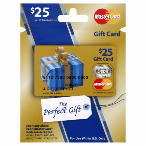 Visa $25 Gift Card (plus $3.95 Purchase Fee)