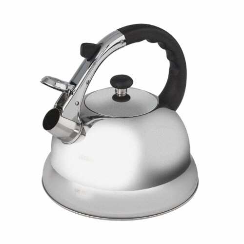 GoodCook® Stainless Steel Tea Kettle - Silver Perspective: front