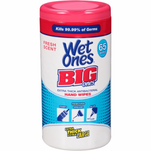 Wet Ones Fresh Scent Antibacterial Hand Wipes, 40 ct - Kroger