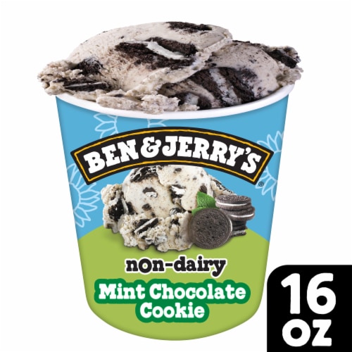 Ben & Jerry's Mint Chocolate Cookie Frozen Non-Dairy Dessert Perspective: front