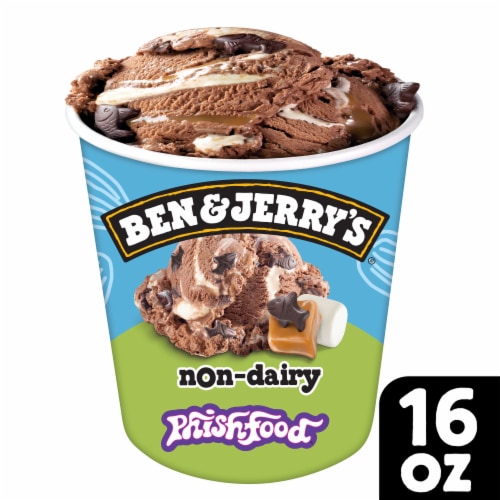 Ben & Jerry's Non-Dairy Phish Food® Chocolate Frozen Dessert Perspective: front