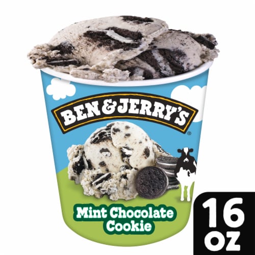 Ben & Jerry's Mint Chocolate Cookie Ice Cream Pint Perspective: front
