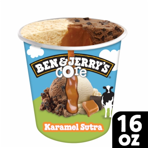 Ben & Jerry’s Ice Cream Pint Karamel Sutra® Core