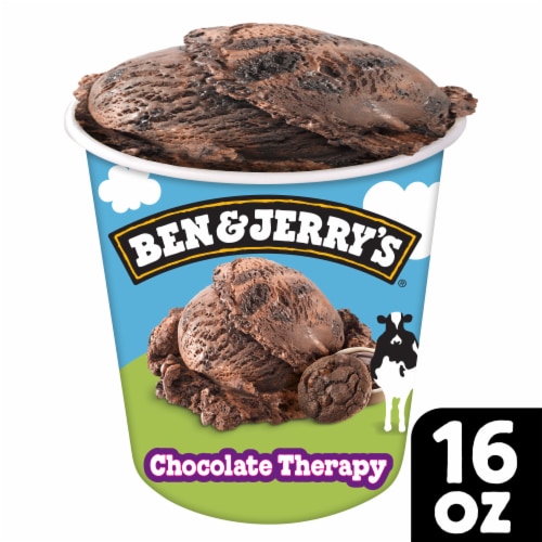 Ben & Jerry's Chocolate Therapy Ice Cream Pint Perspective: front