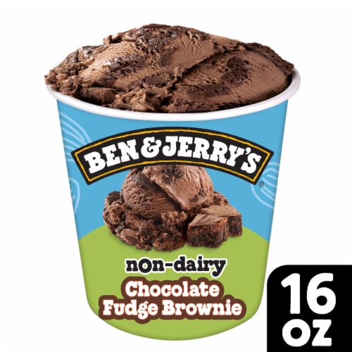 Ben & Jerry's Chocolate Fudge Brownie Frozen Non-Dairy Dessert Perspective: front
