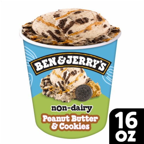 Ben & Jerry's Non-dairy Netflix & Chill'd Peanut Butter Frozen Dessert -  16oz : Target