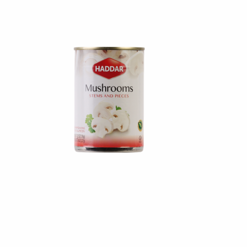 Haddar® Mushrooms Stems & Pieces Perspective: front