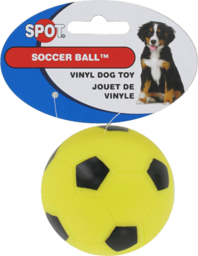 Spot & Find Soccer