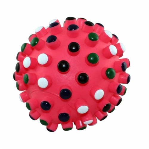 Spot Vinyl Gumdrop 5in Ball Dog Toy Perspective: front