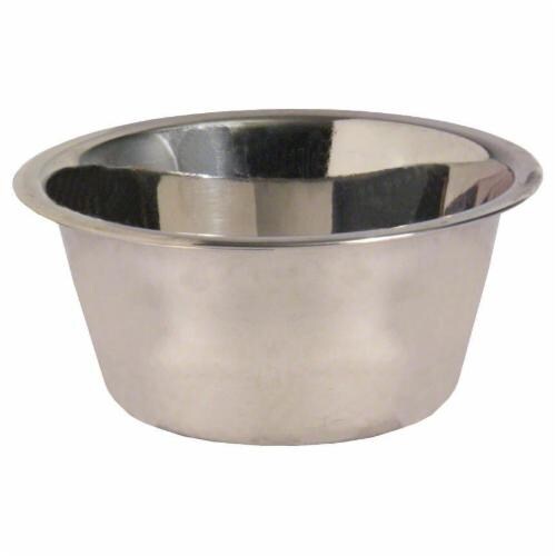 Spot Stainless Steel Mirror Pet Dish Perspective: front