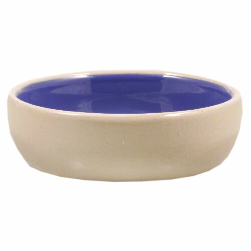 Spot Stoneware Saucer Dish Perspective: front