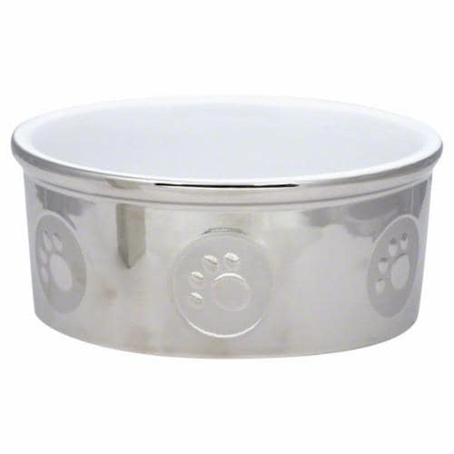 Spot Paw Titan Dog Dish Perspective: front