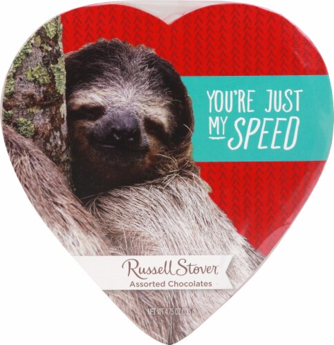 Russell Stover Assorted Chocolates in Cute Cats Heart Shaped Box Perspective: front