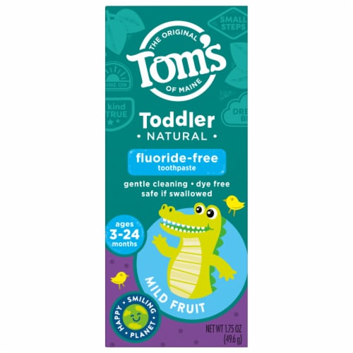 Tom's of Maine Natural Fluoride-Free Toddler Training Toothpaste Mild Fruit Perspective: front