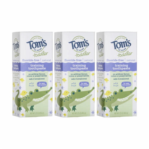 Tom's of Maine Natural Fluoride-Free Toddler Training Toothpaste Mild Fruit Perspective: front