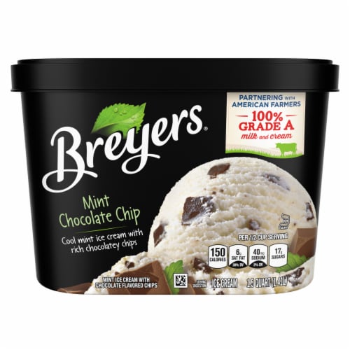 Breyers® Mint Chocolate Chip Ice Cream Perspective: front