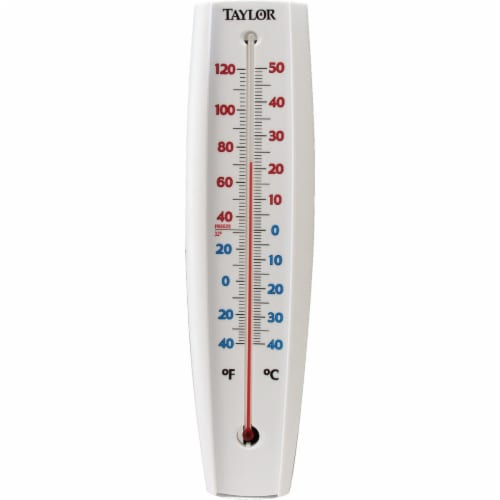 Taylor White Digital Indoor & Outdoor Thermometer