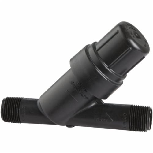 Rain Bird 3/4 In. In-line Y-Filter RBY075S Perspective: front