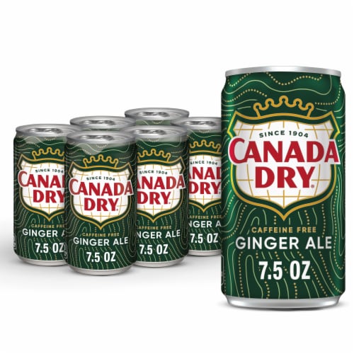 Canada Dry® Ginger Ale Soda Mini Cans